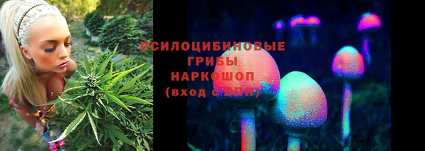2c-b Алексин