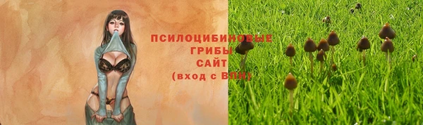 кокс Железноводск