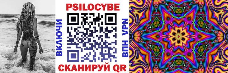 где купить наркоту  Сольцы  Псилоцибиновые грибы MAGIC MUSHROOMS 